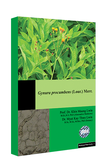 Gynura Procumbens